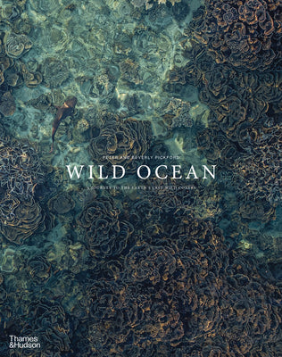 Wild Ocean: A Journey to the Earth's Last Wild Coasts