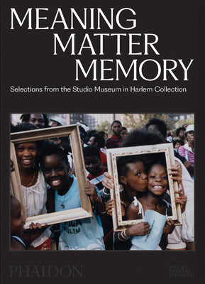 Meaning Matter Memory: Selections from the Studio Museum in Harlem Collection